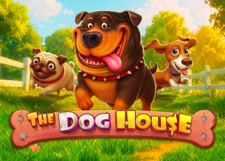 cash29 The Dog House ทดลองเล่นฟรี